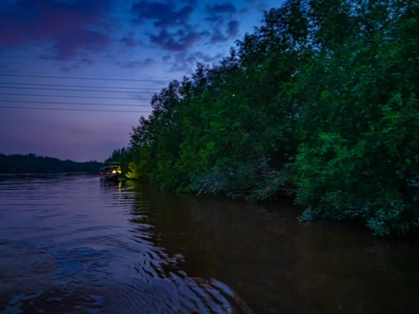 Kuala Selangor River Bank