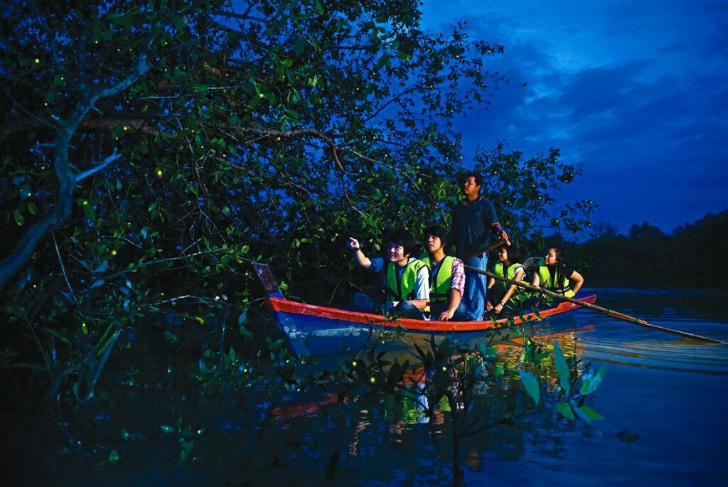 Kampung Kuantan Firefly Park Jetty