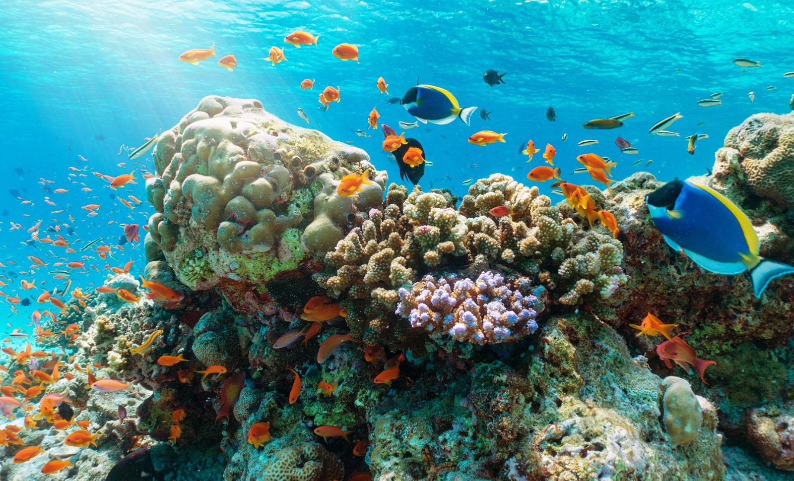 North Reef