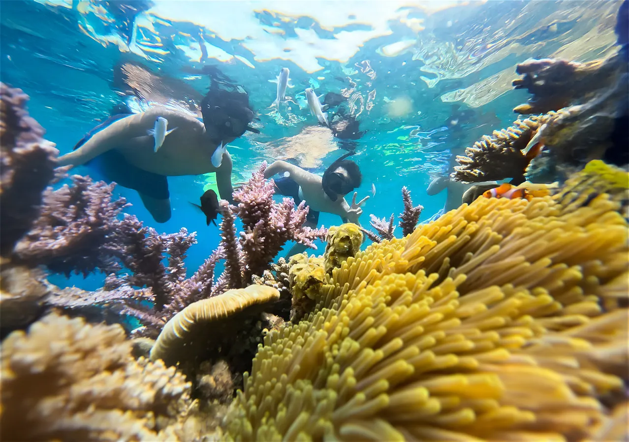 South Beach Reef
