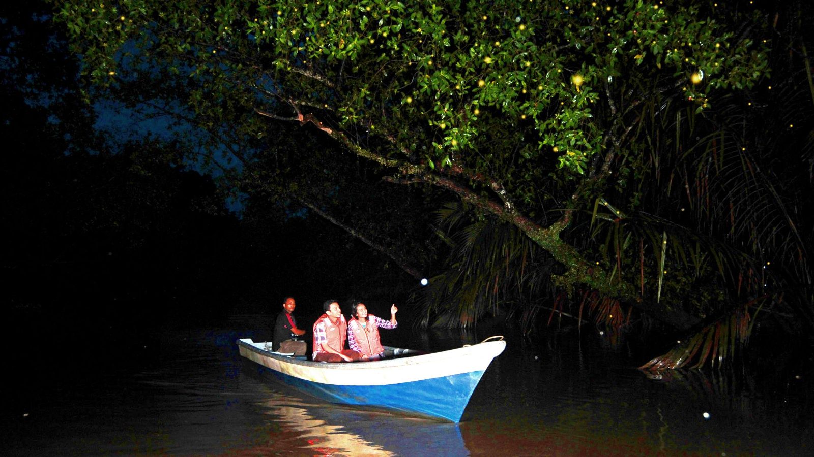 Blue Tears Kuala Selangor Ticket Price