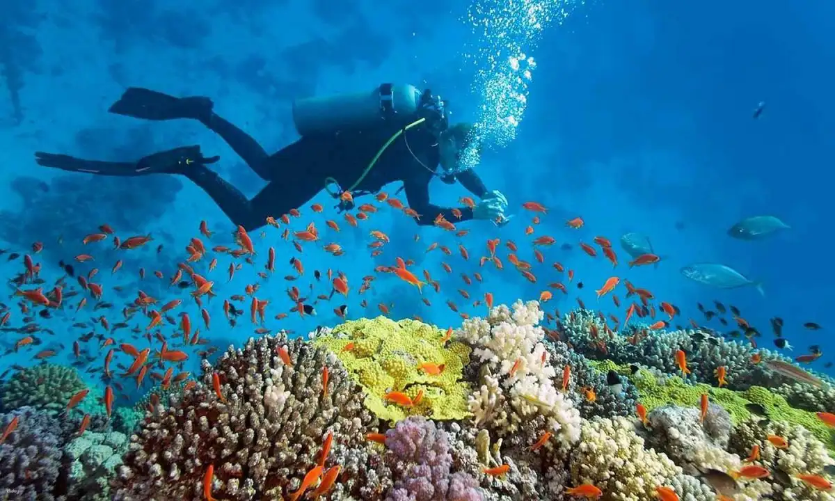 Hon Mun Marine Protected Area