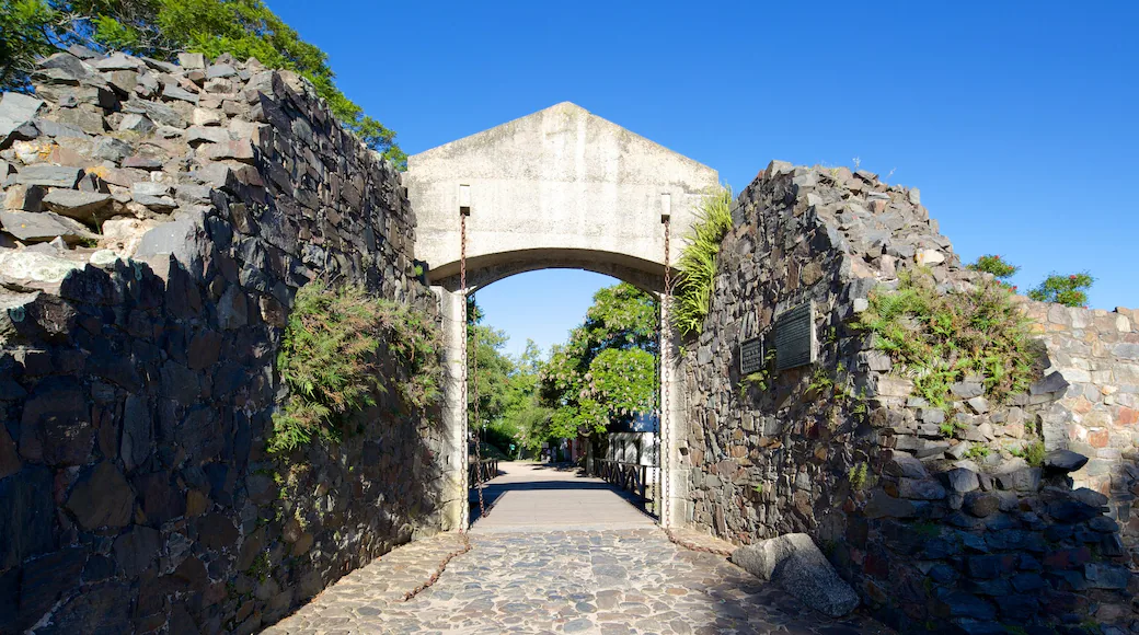 Portón de Campo
