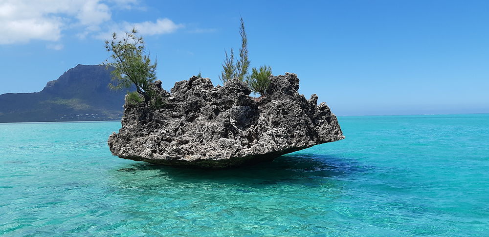 Crystal Rock