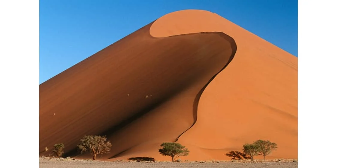The Big Dune