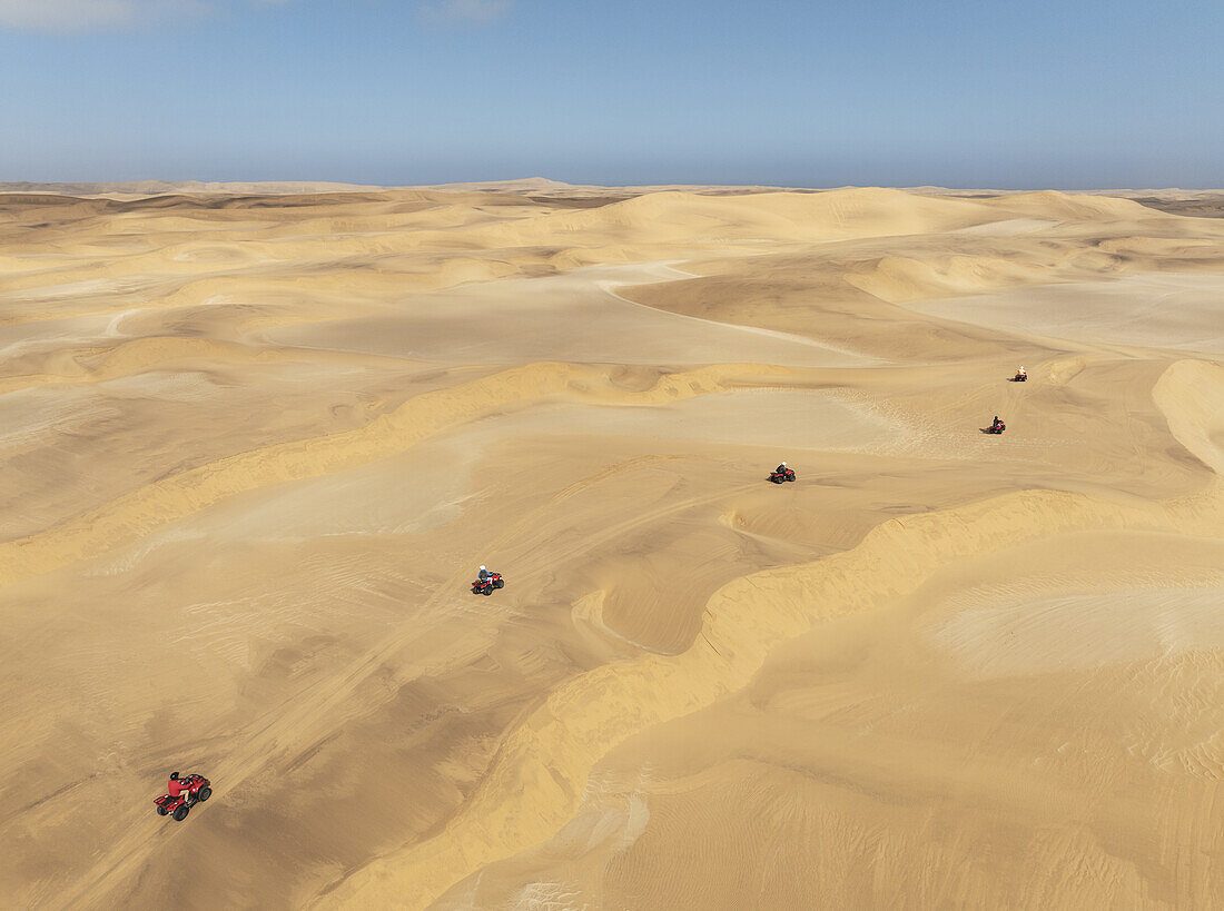 Swakopmund Little Five Desert Wildlife Quad Biking Tour