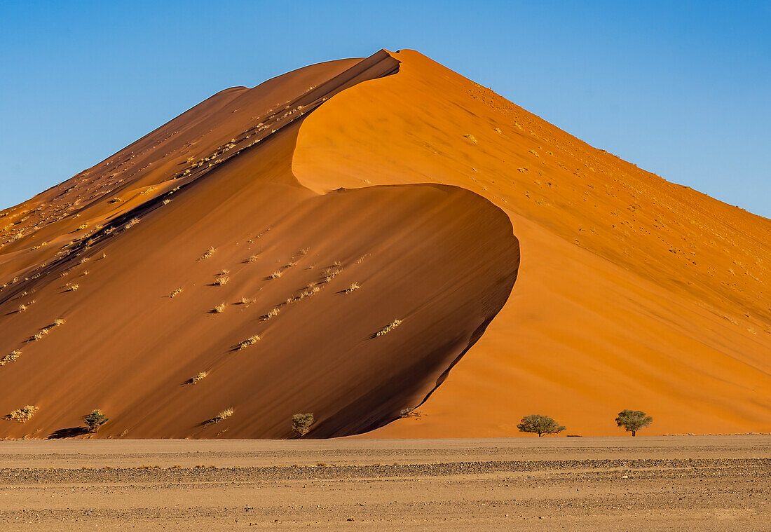 Dune 7 Slope