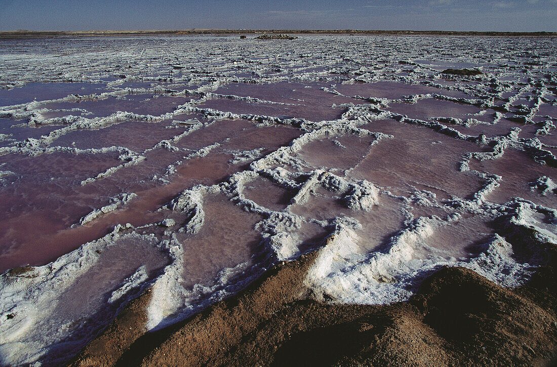 Coastal Salt Crusts
