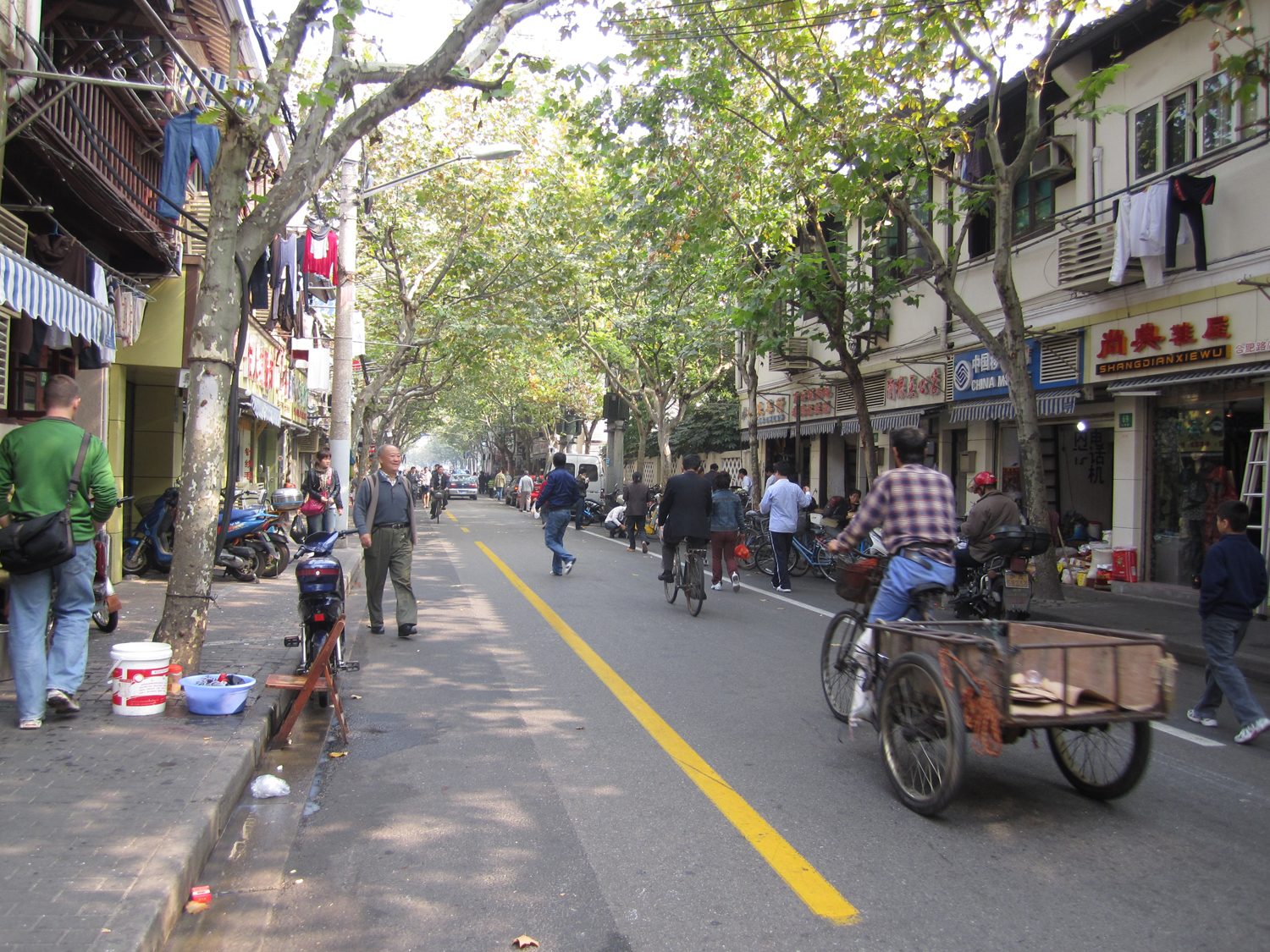 French Concession Plane Trees