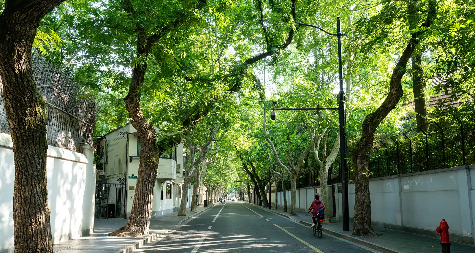 French Concession Streets
