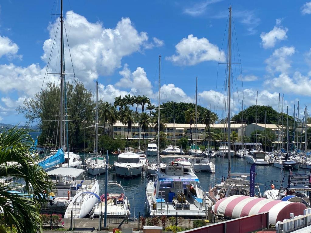 Marina Pointe du Bout Pier