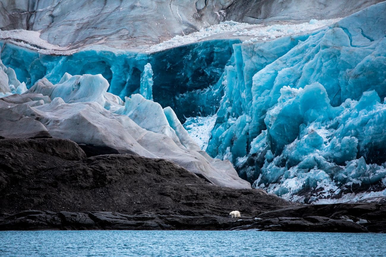 Nordenskiöld Glacier