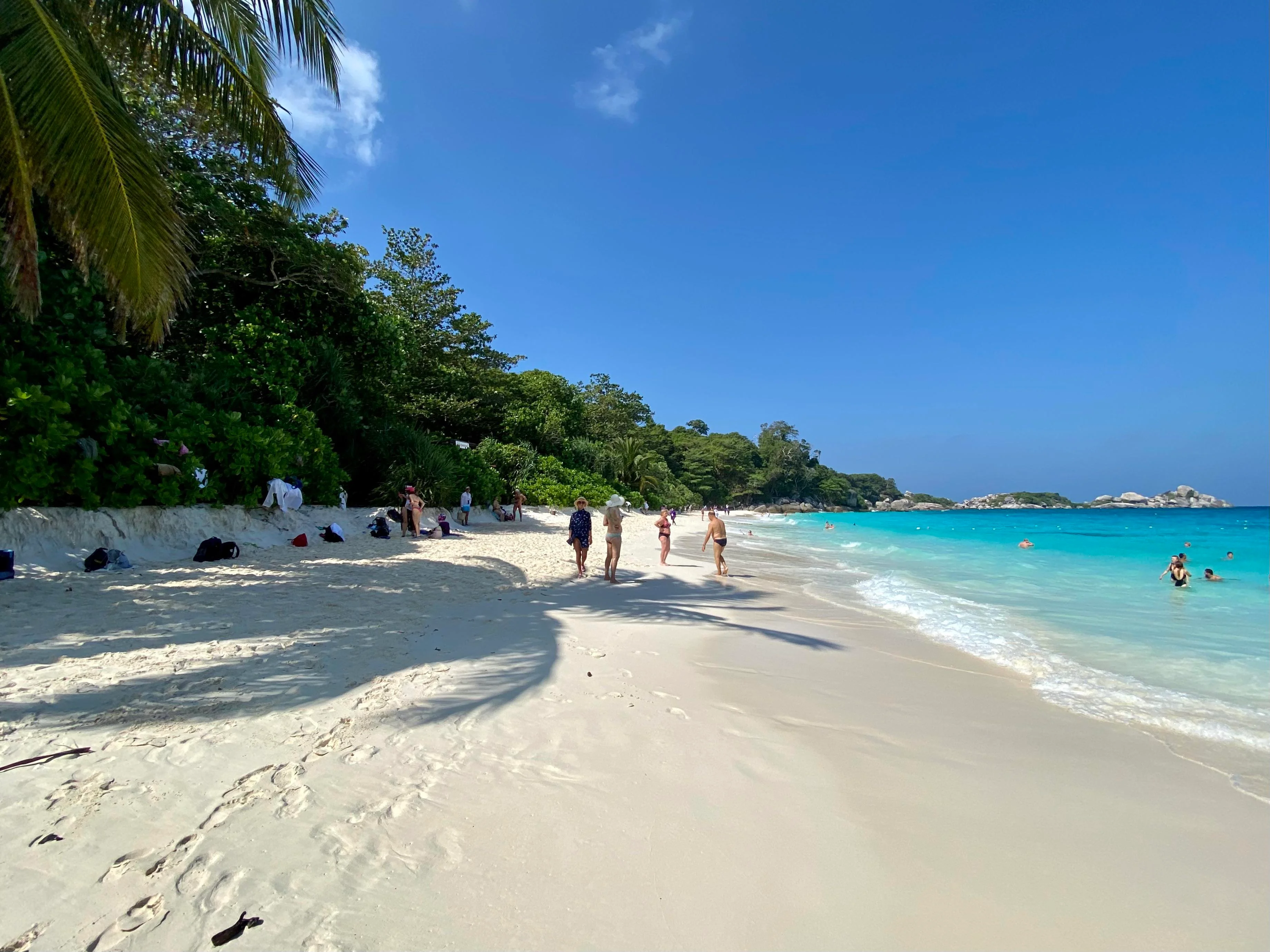 Island No. 4 Beach Path