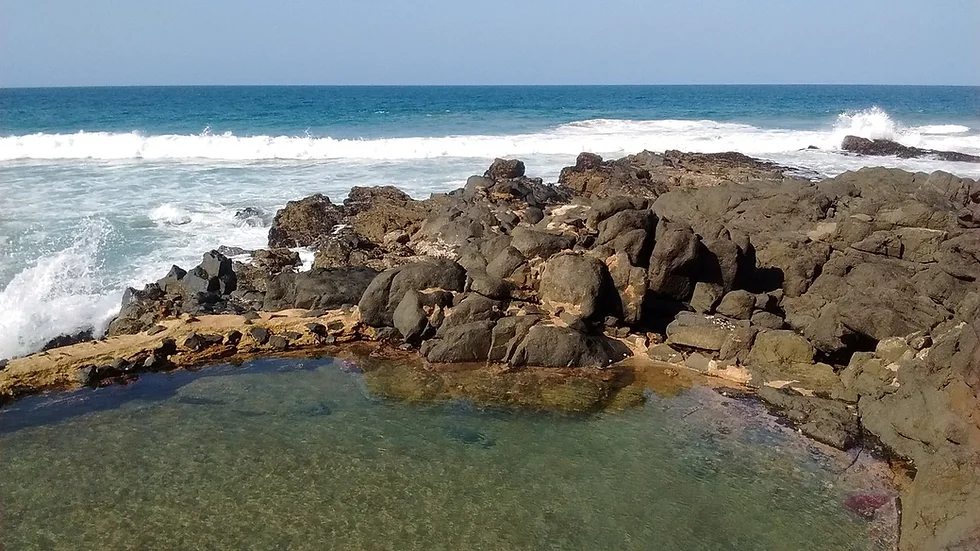 Tidal Pools