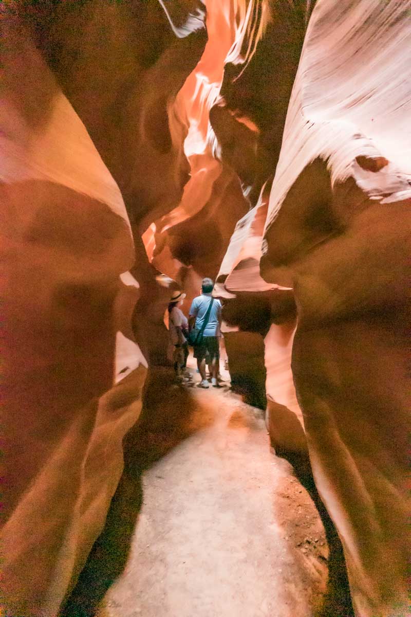 Grand Canyon and Antelope Canyon Tour From Phoenix