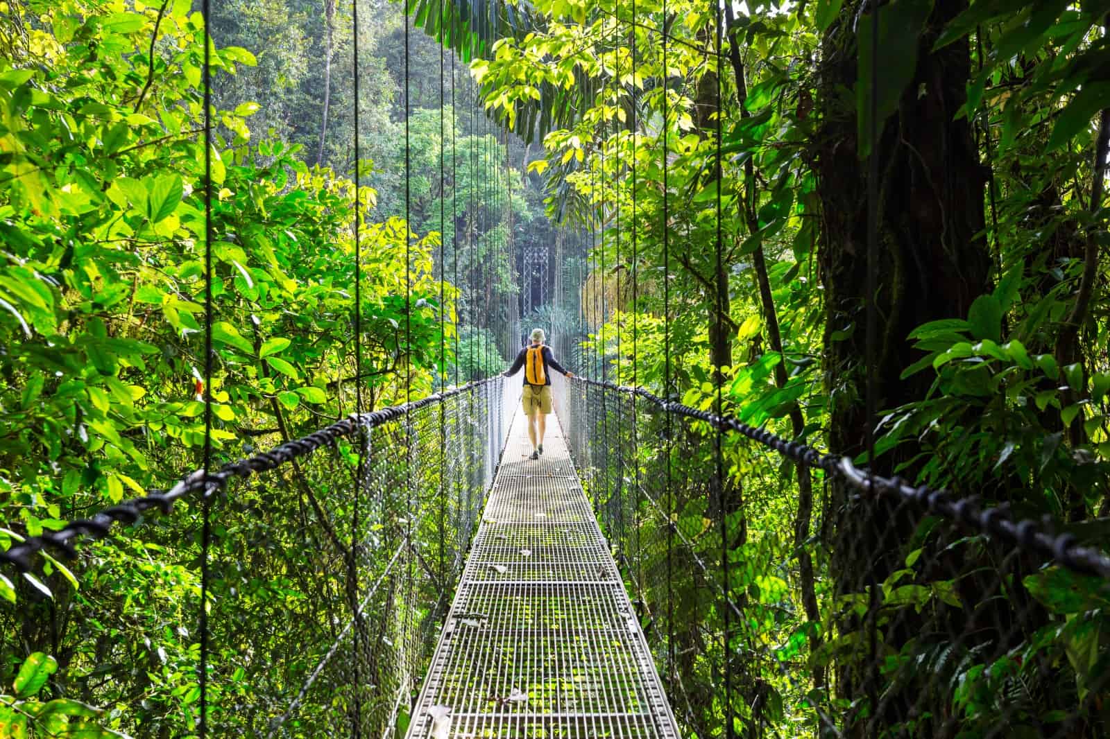 Native Jungle Path