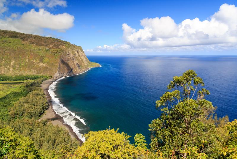 Coastal Viewpoint