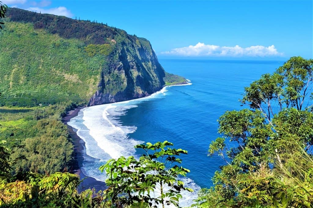 Ocean View Lookout