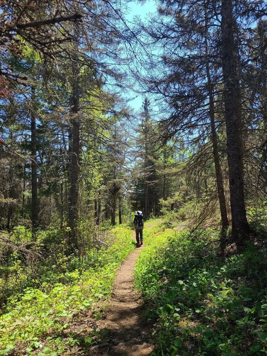 Greenstone Trail