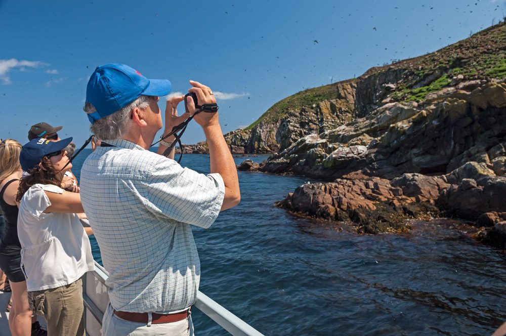 Reykjavik Whales and Puffins Express Cruise Combo Tour