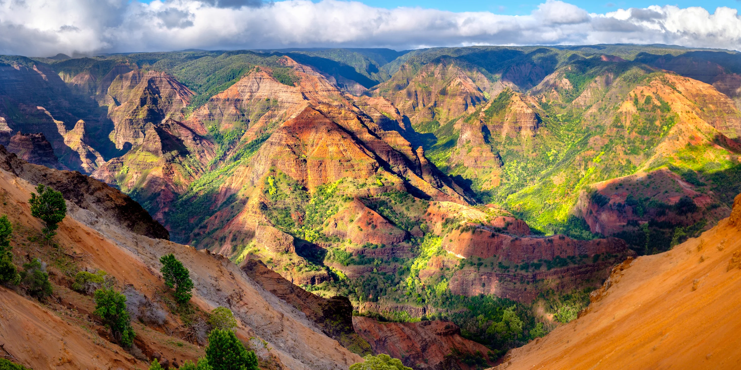 Waimea Canyon
