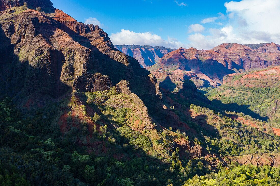 Waimea Canyon Rim