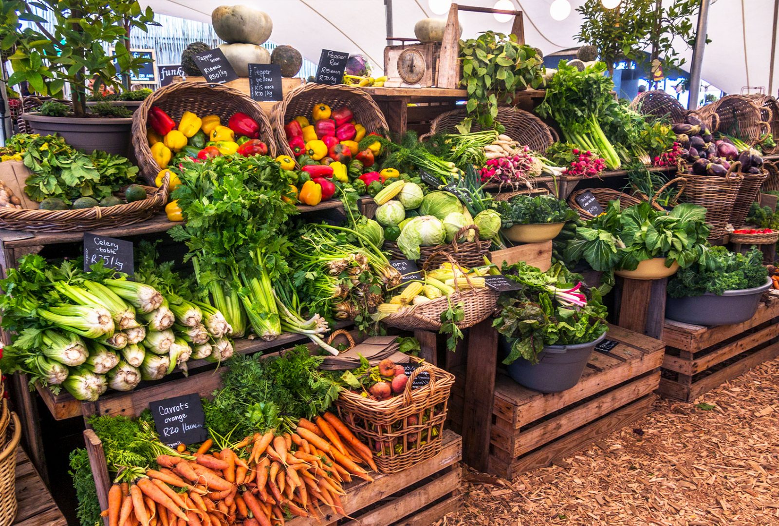 Market Fresh Counter