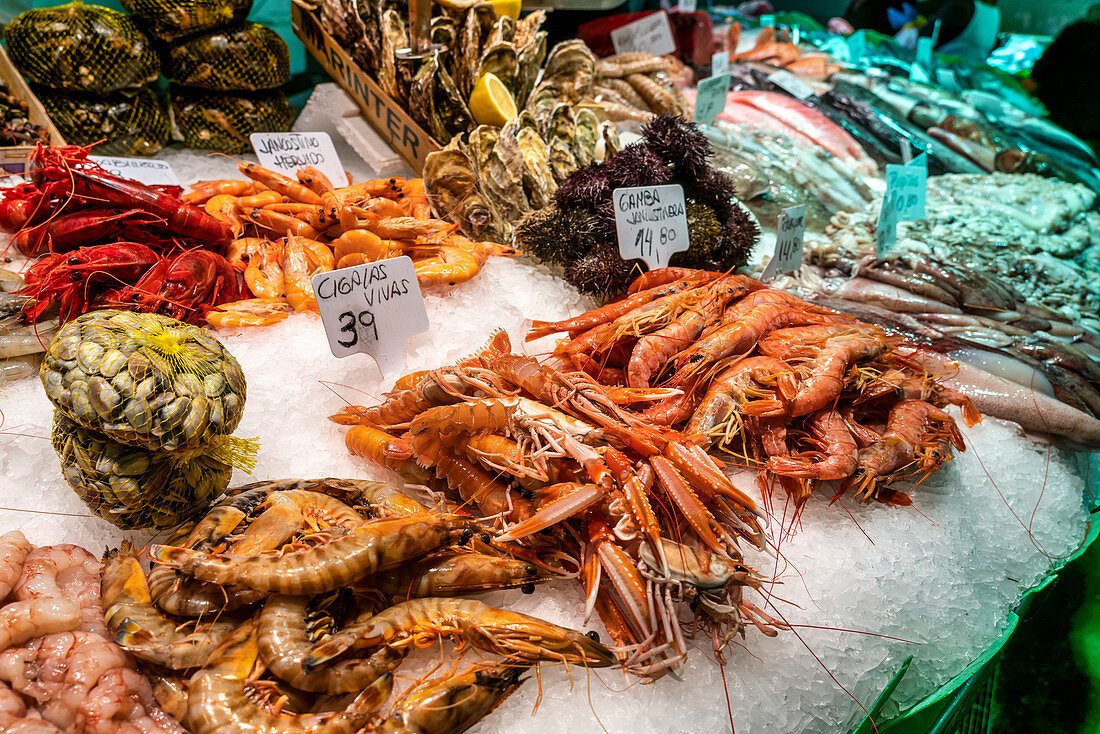 Fish Market Area