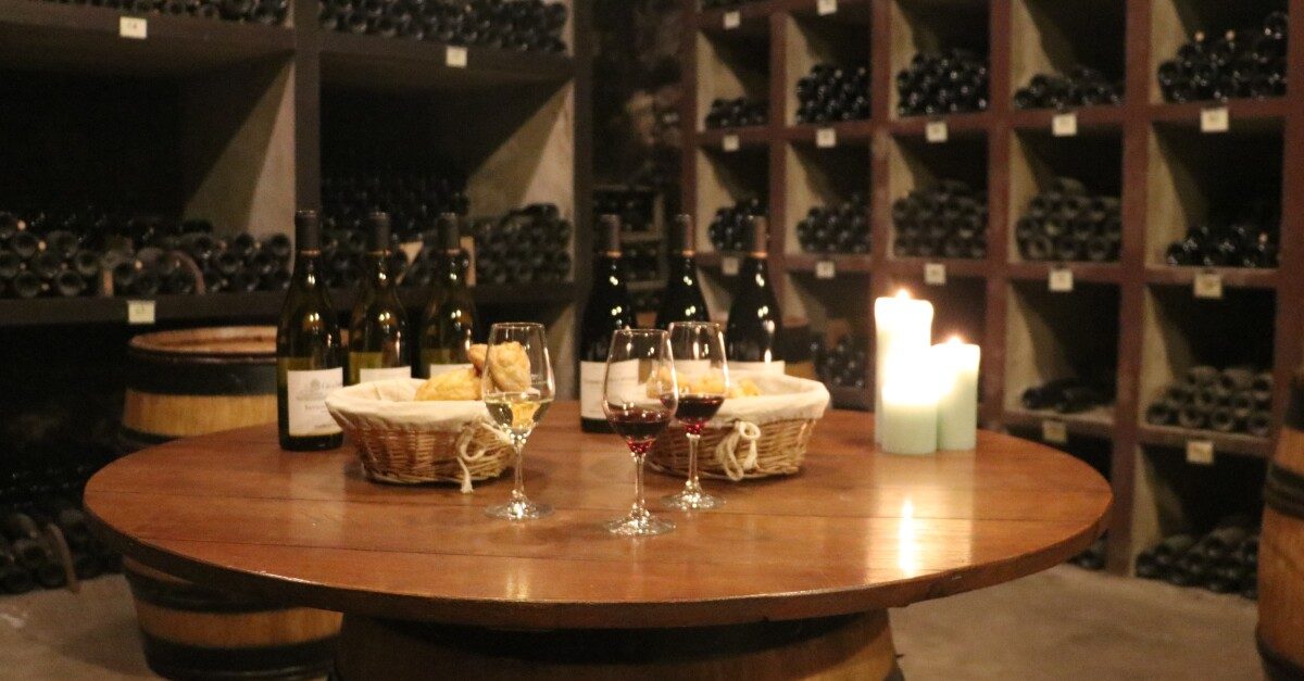 Dijon Wine Tour