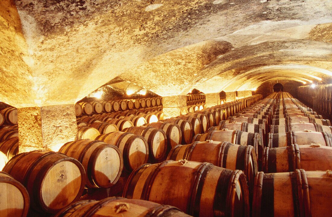 Cote De Nuits Wine Tour