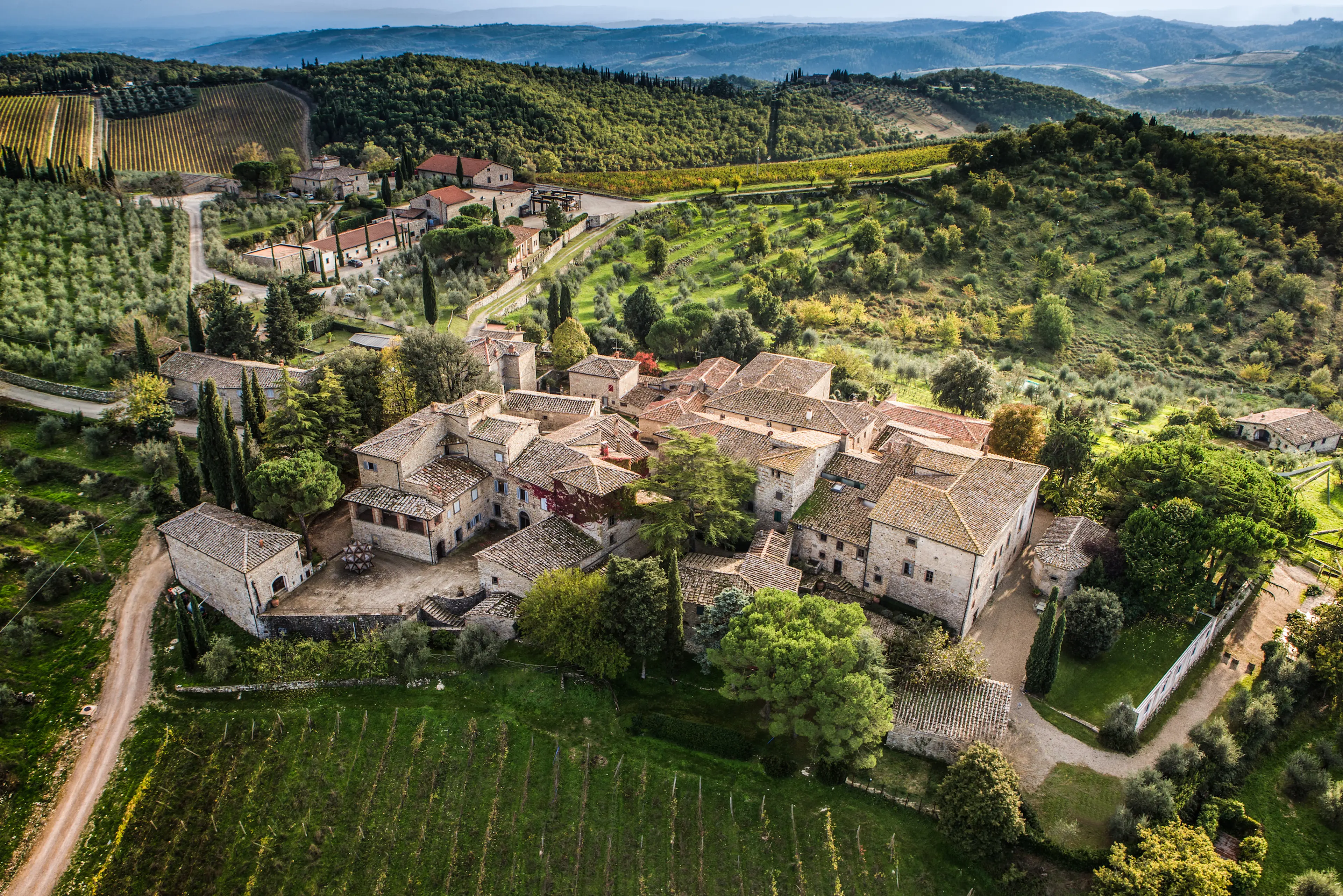 Castello di Ama vineyards