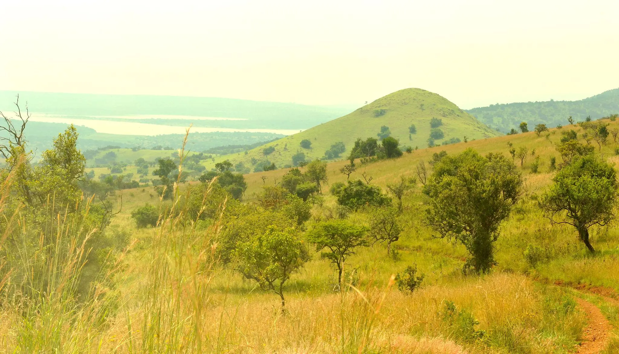 Mutumba Hills