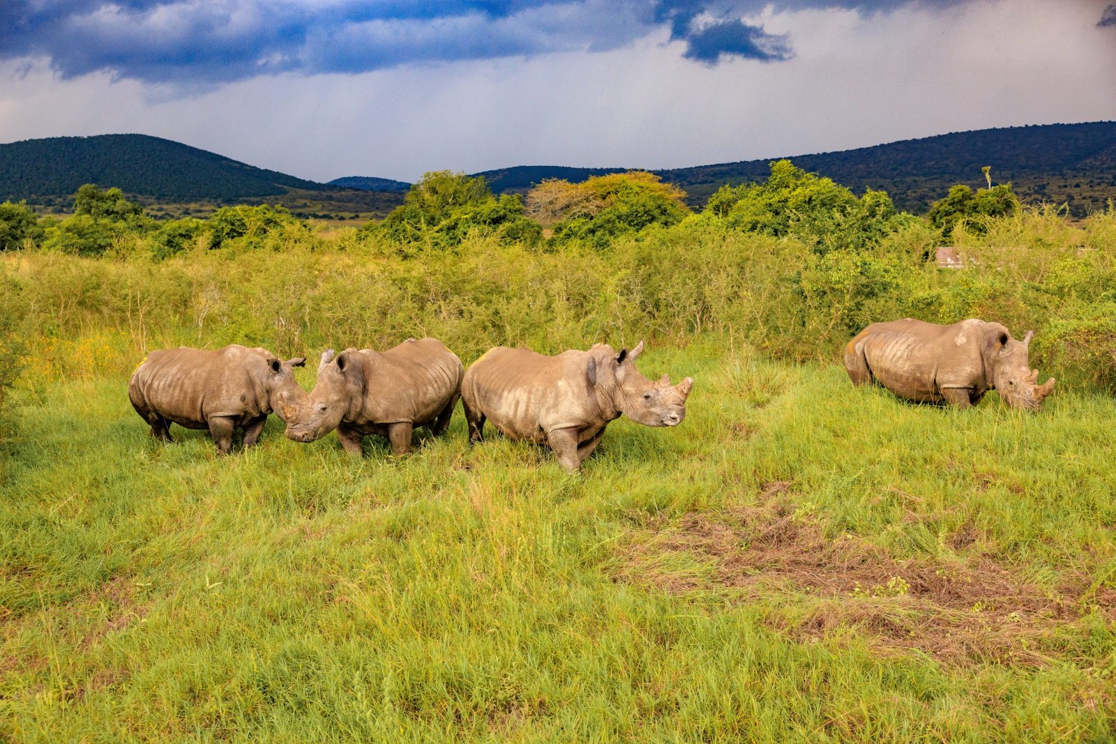 Kilala Plains