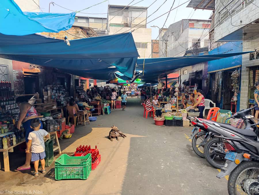 Belén Market