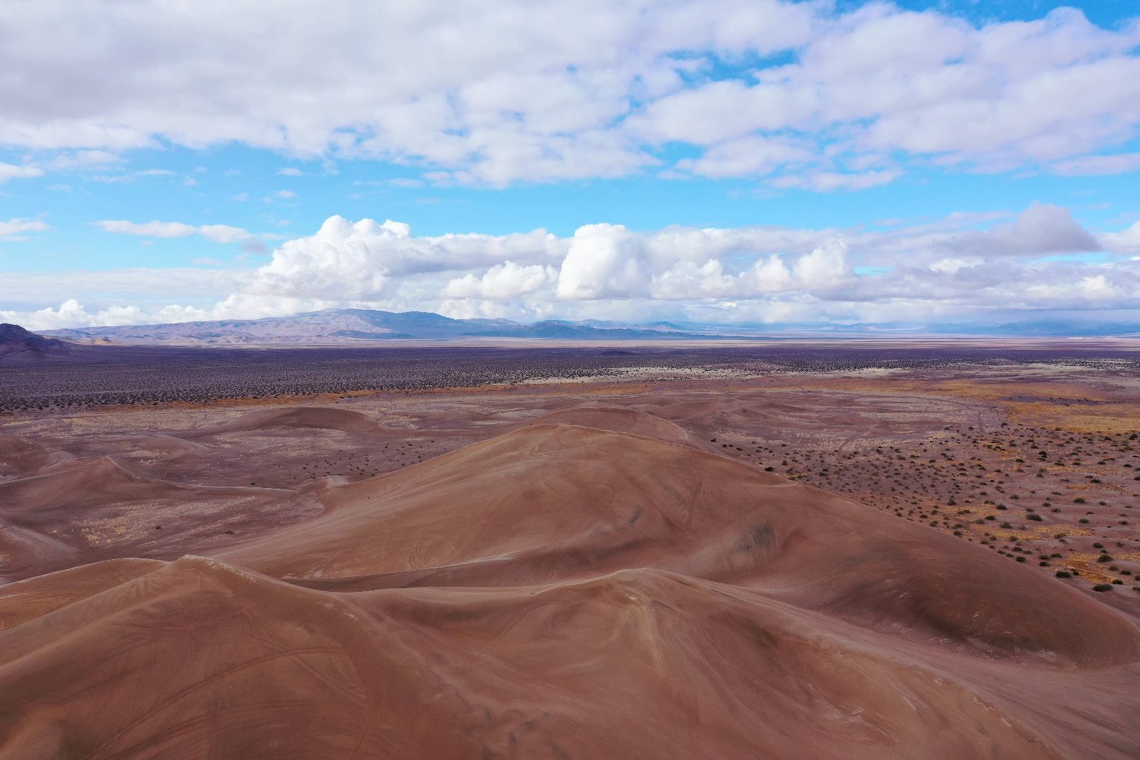 Horizon Wide-Angle
