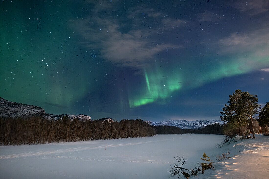 Winter Lighting