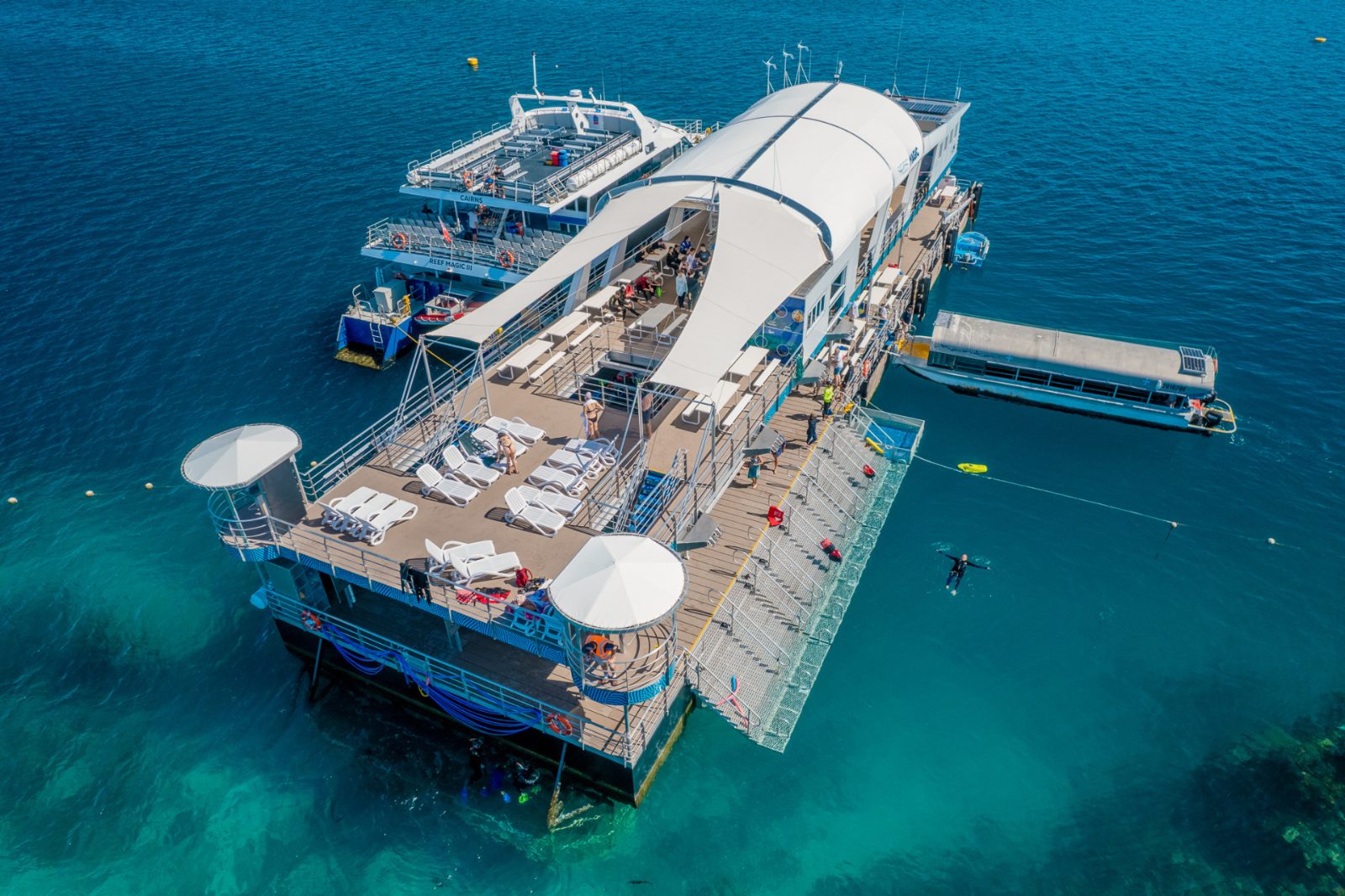 Agincourt Reef Tours
