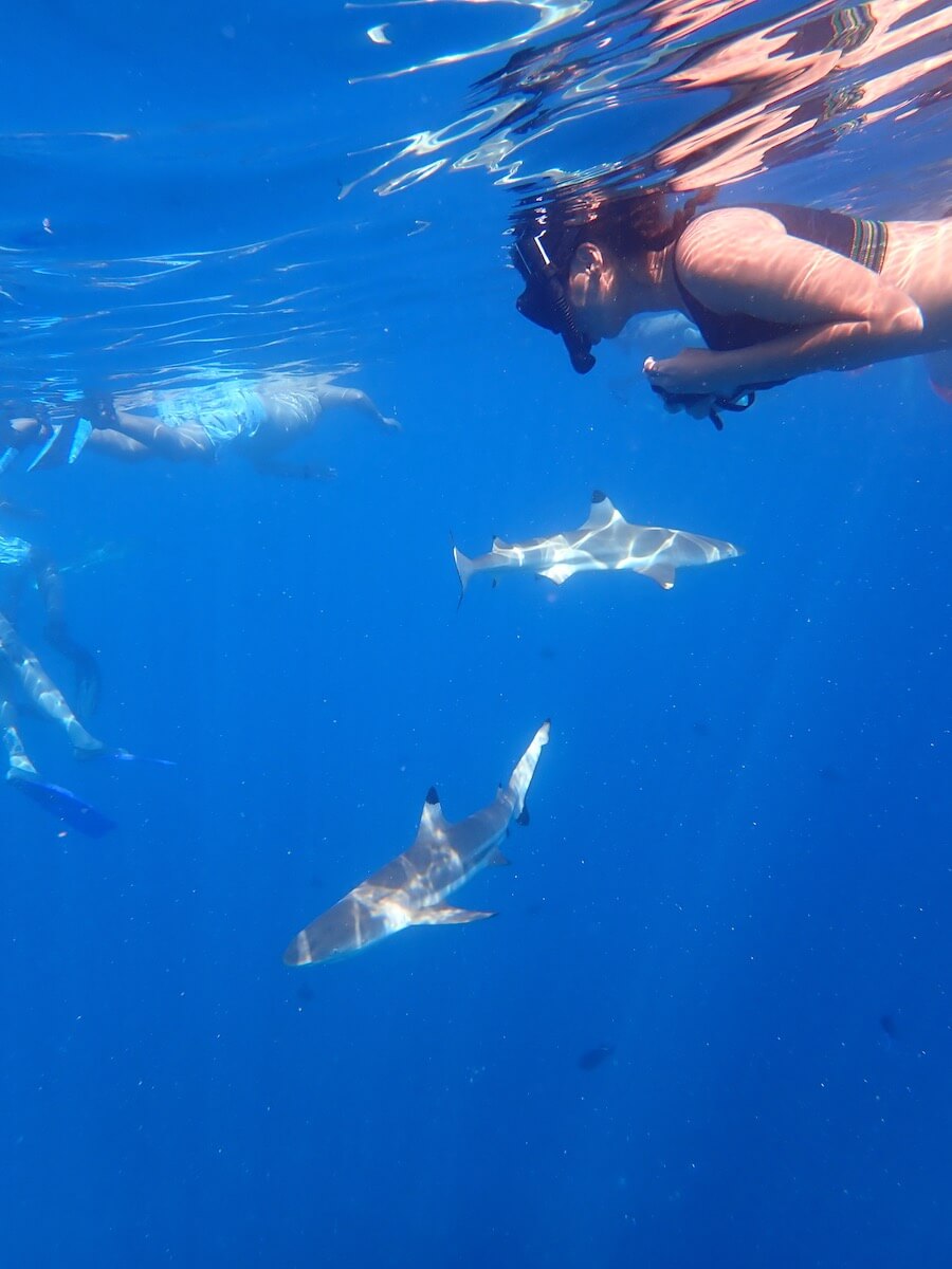 Tetiaroa Day Trip