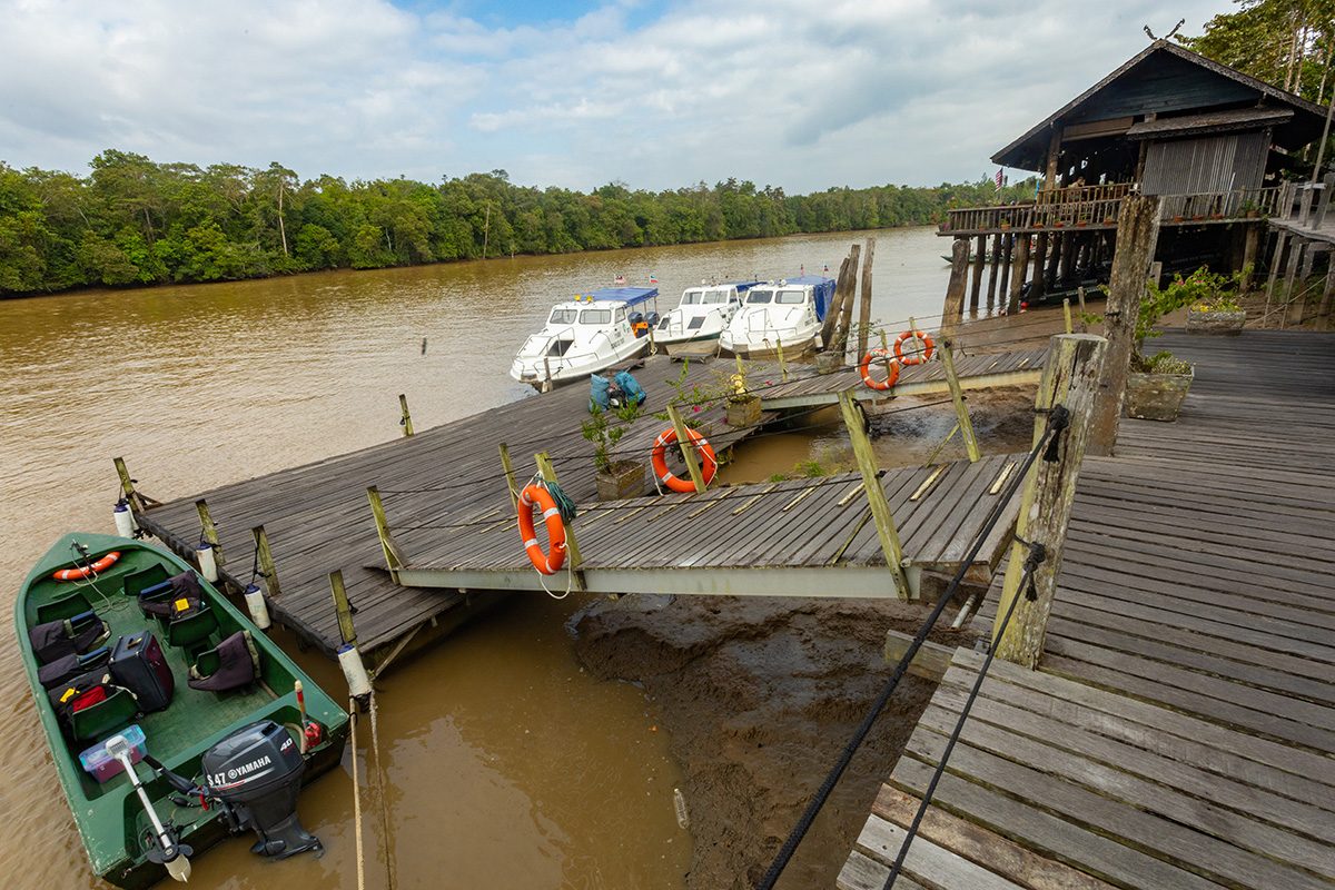 Amazon Jungle Lodge Tours