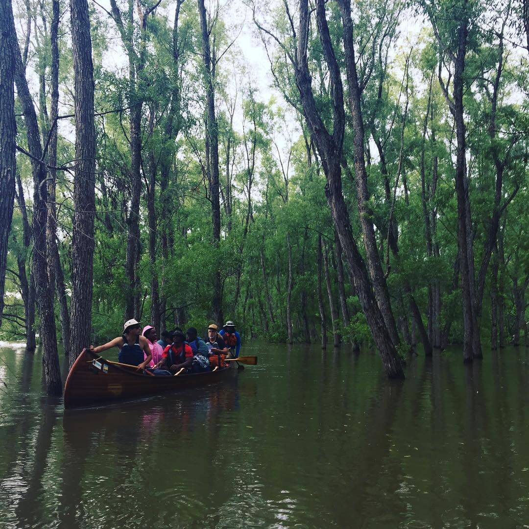 Flooded Forest Channels