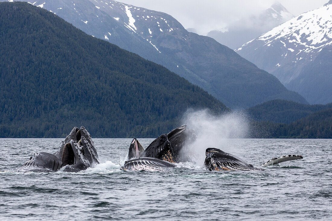 Sitka Sound Waters