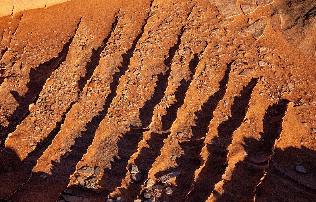 Sandstone Fins
