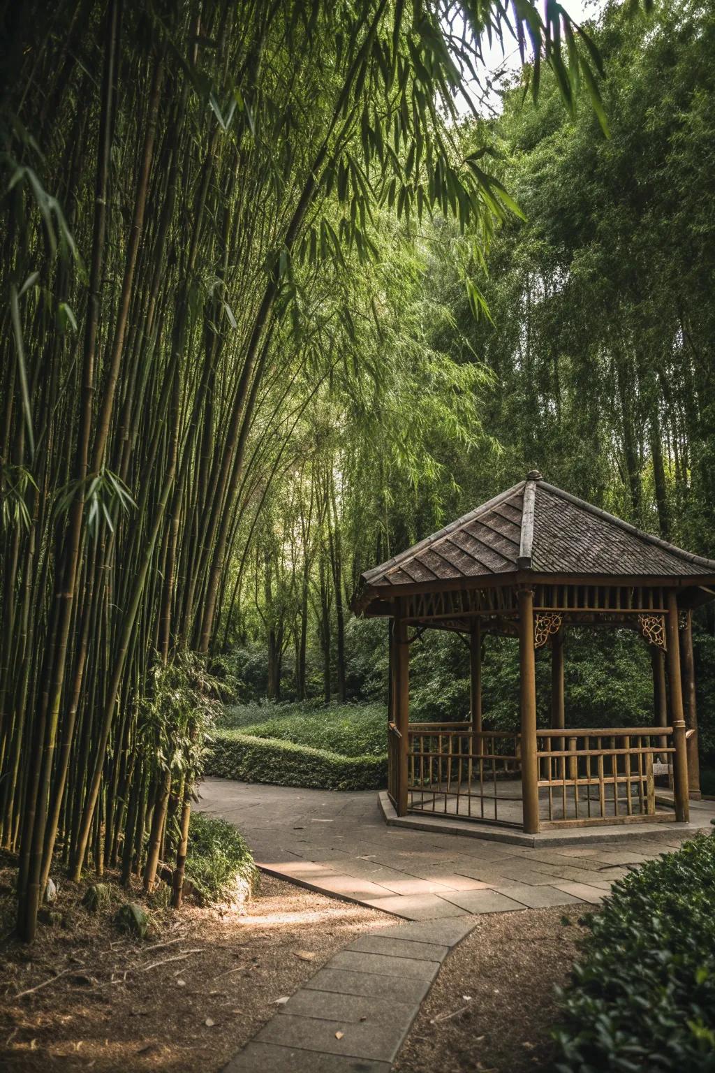 The With Bamboo Pavilion