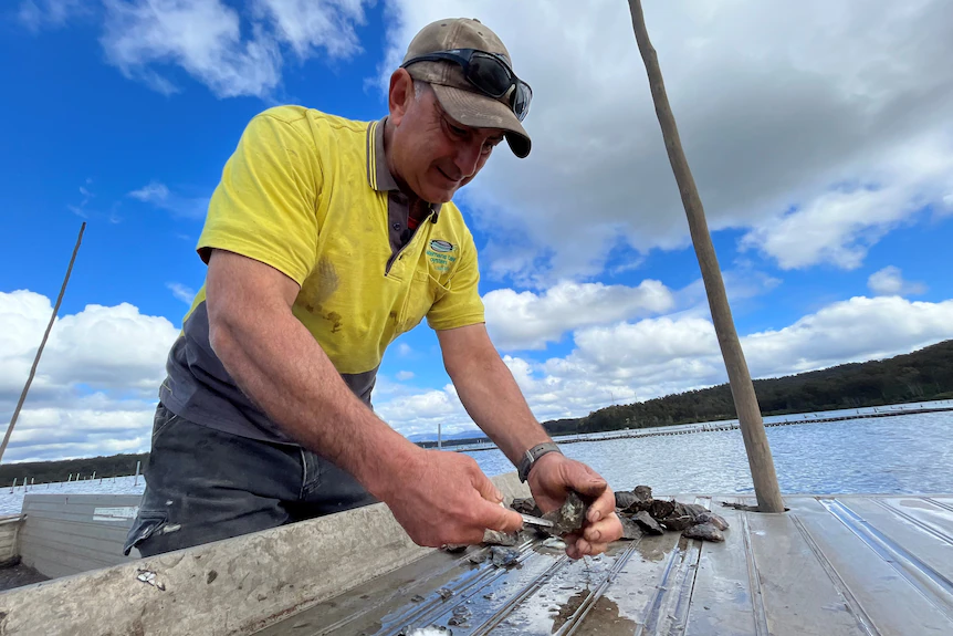 Mali Ston Oyster Tour
