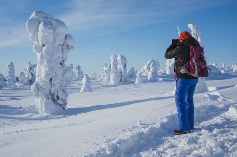 Riisitunturi Tour From Rovaniemi