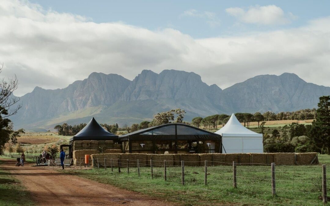 Nguni Cafe
