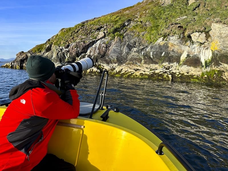Bleik Puffin Safari