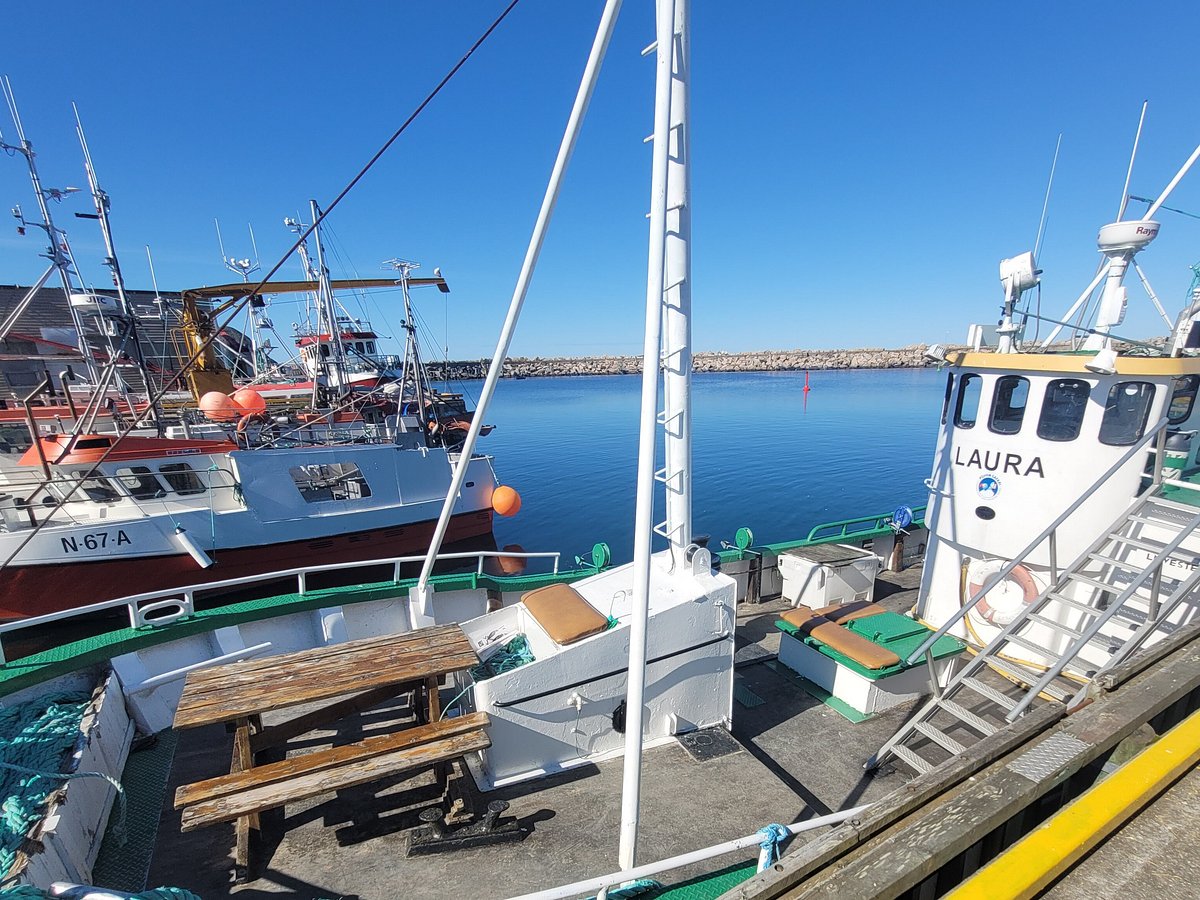 Bow Observation Area
