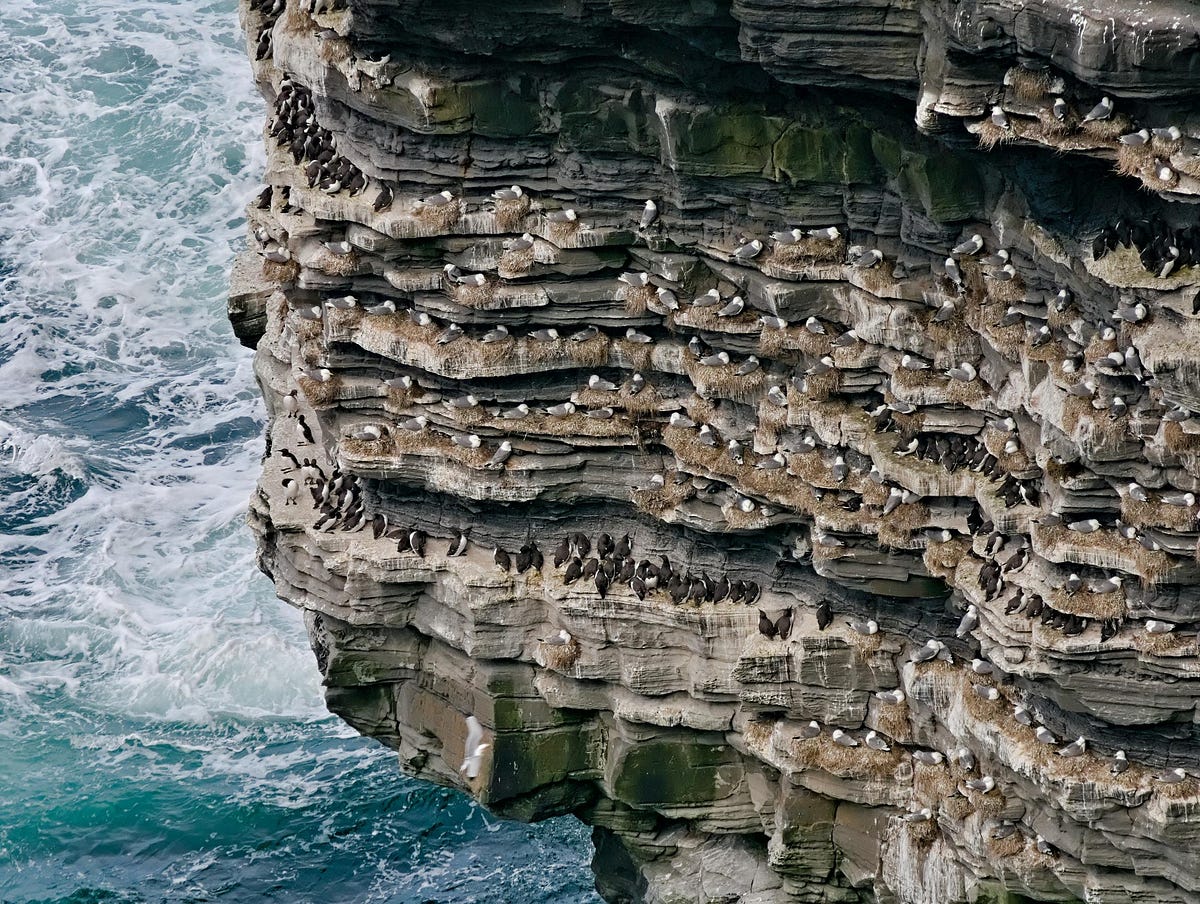 Bleik Sea Cliffs Vantage