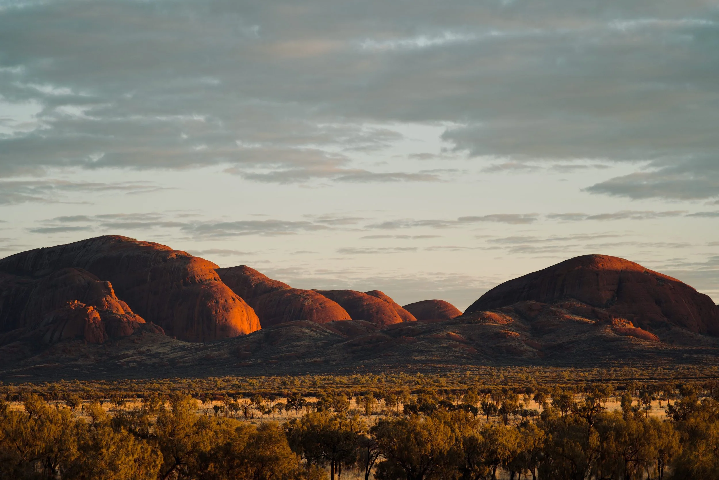 Kata Tjuta Dune Viewing Area